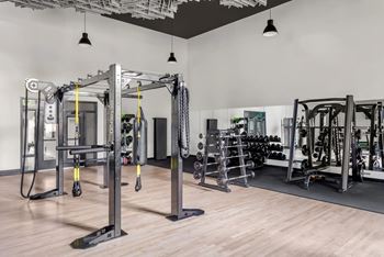 A gym with a variety of equipment including a squat rack, bench press, and a pull up bar.