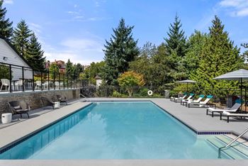 A large swimming pool surrounded by trees and lounge chairs.