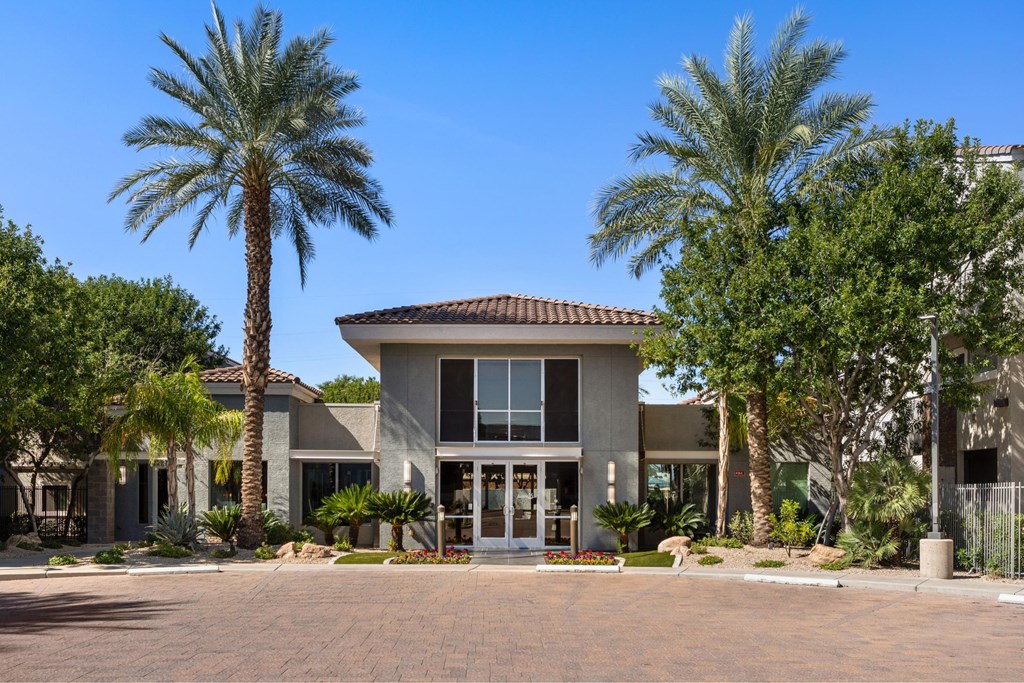 A modern house with a palm tree in front.