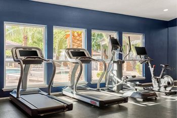 A row of treadmills and exercise bikes in a gym.
