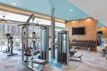 A gym with a variety of equipment including a squat rack, a bench press, and a treadmill.
