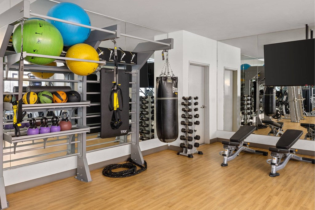 A gym with a punching bag, weights, and exercise balls.