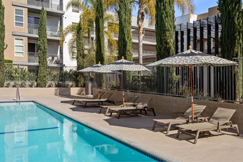 A pool surrounded by chairs and umbrellas with apartment buildings in the background.