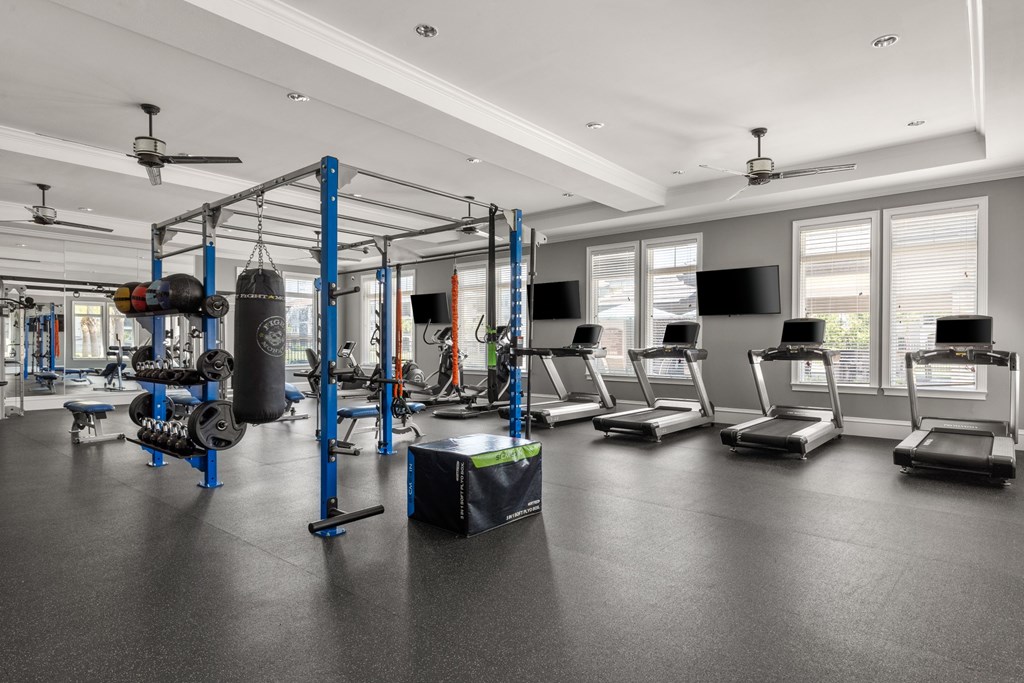 A gym with a variety of equipment including treadmills, weights, and a boxing ring.