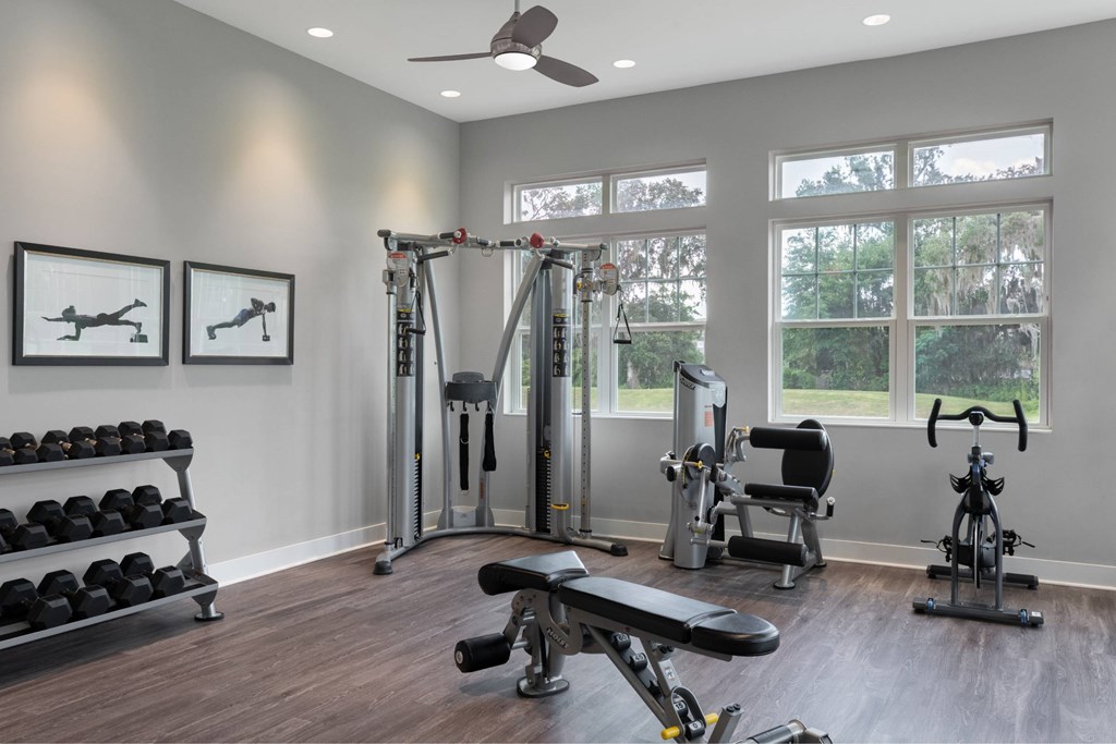 A home gym with a variety of equipment including a bench, weights, and a treadmill.