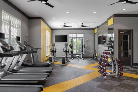 A gym with treadmills, weights, and exercise equipment.