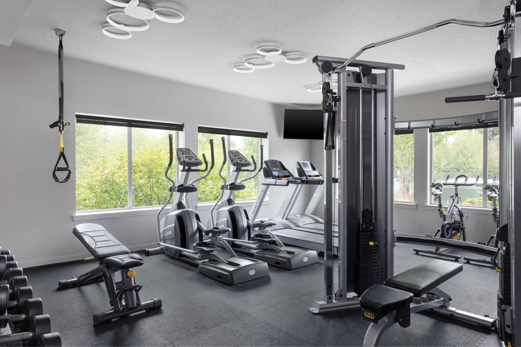 A gym with a variety of equipment including treadmills, weights, and a television.
