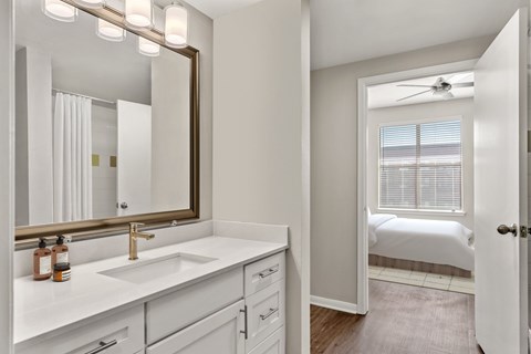 A bathroom with a white sink and a mirror above it.