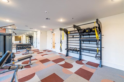 A gym with a variety of equipment including a squat rack and bench.