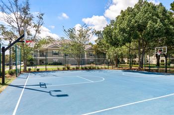 A basketball court is surrounded by a fence and trees.