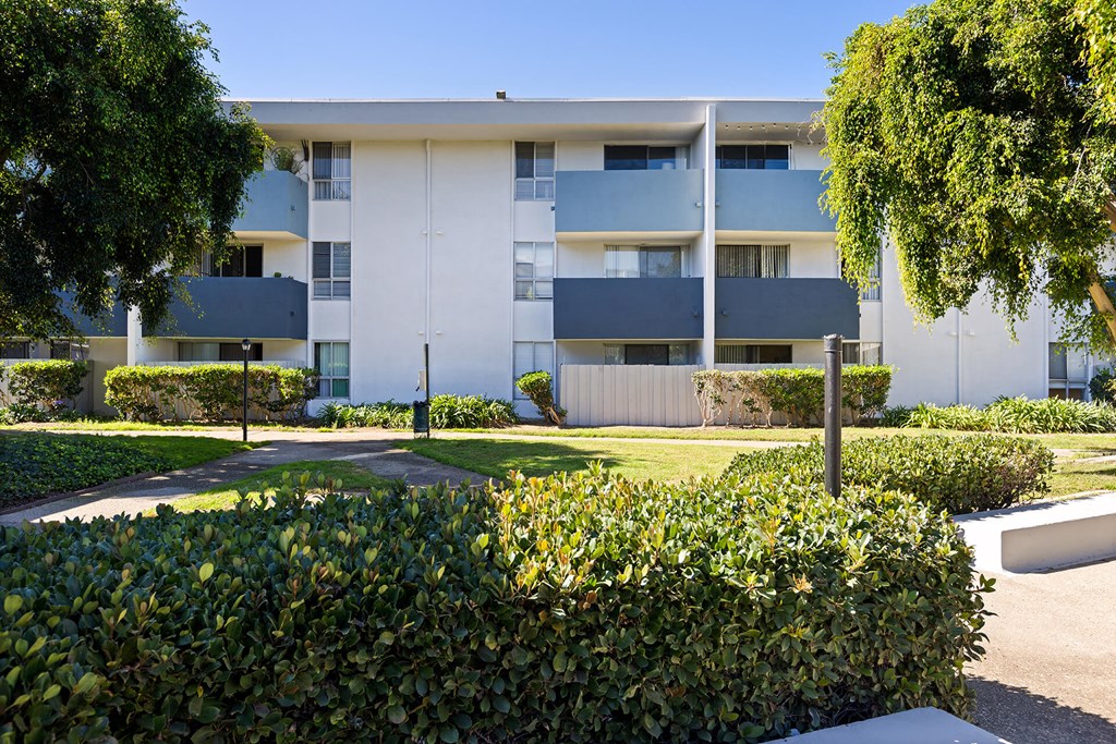 A white and grey building with a green bush in the foreground.