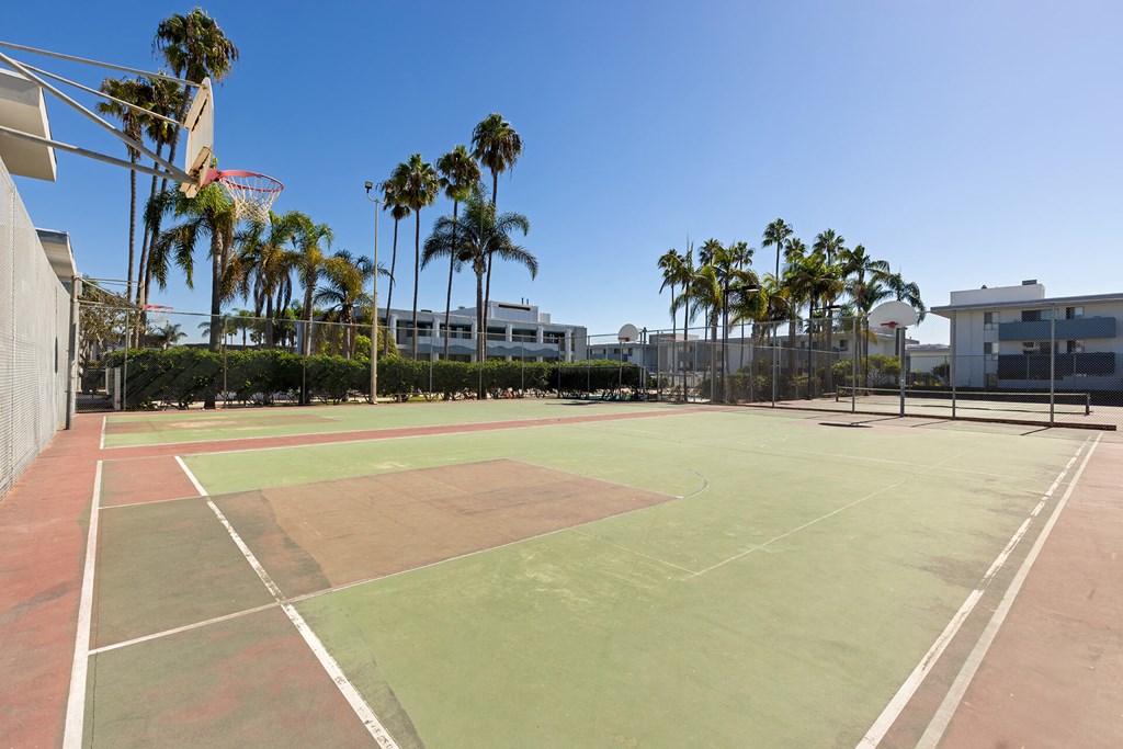 A tennis court with a net and palm trees in the background.