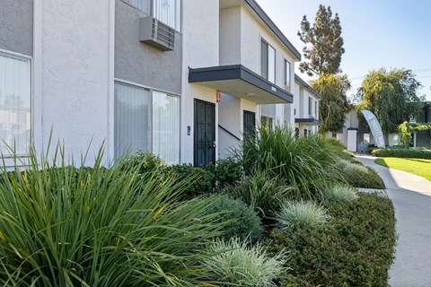 A modern building with a black door and windows surrounded by greenery.
