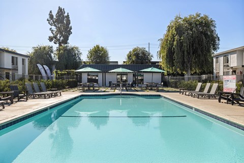 A large swimming pool surrounded by lounge chairs and trees.