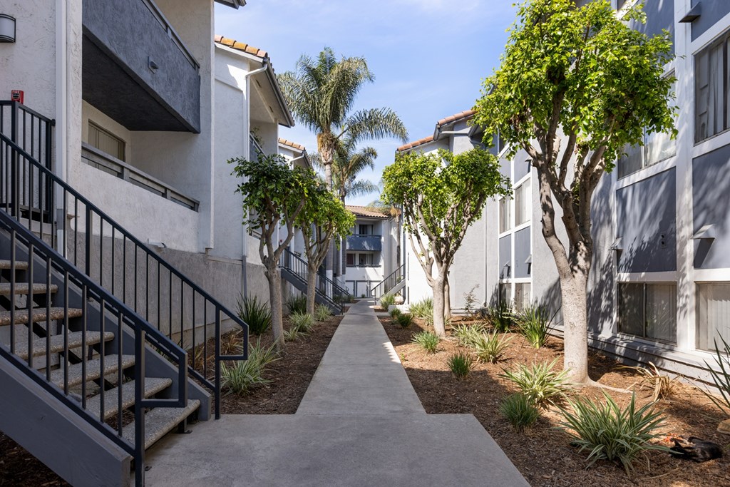 A concrete pathway leads through a row of trees and plants in a residential area.