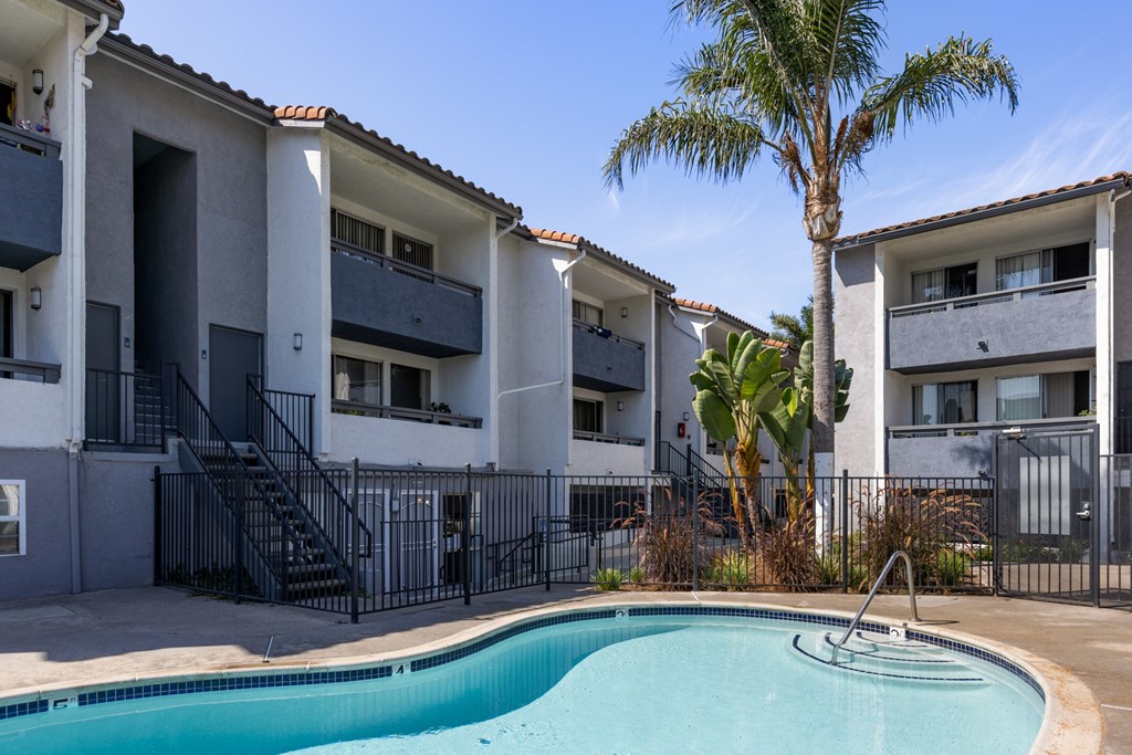 A pool in front of a building with a palm tree.