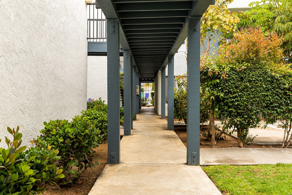 A long concrete walkway with green bushes on the sides and a white wall on the left.