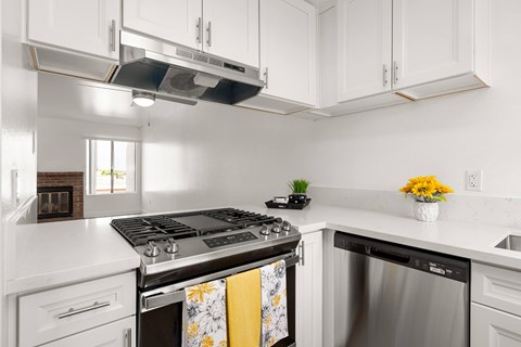 A modern kitchen with a stove top oven and a dishwasher.