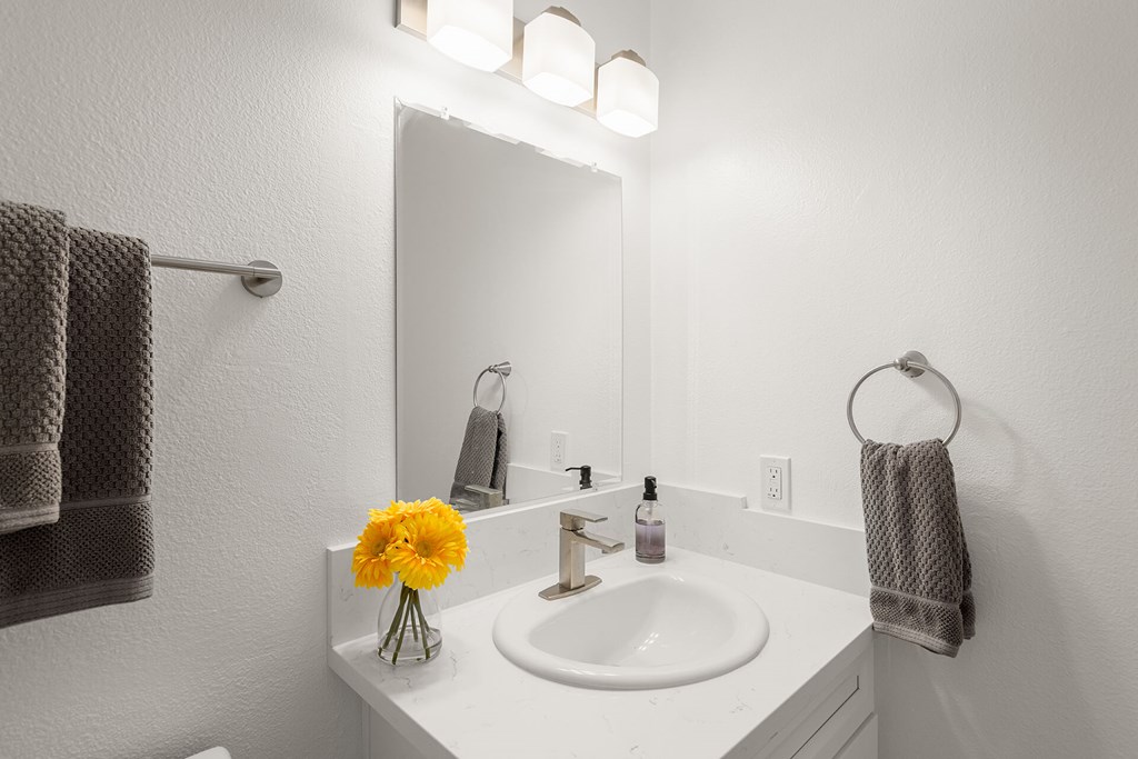 A bathroom with a white sink and a mirror.