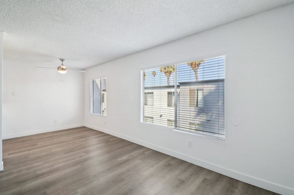 A room with a window showing a view of palm trees outside.