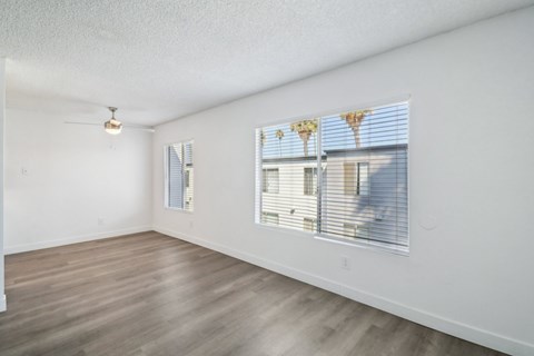 A room with a window showing a view of palm trees outside.