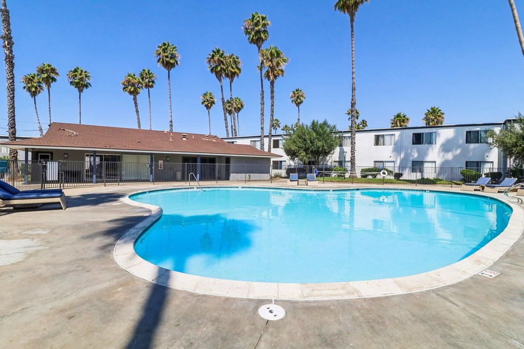 A round swimming pool surrounded by palm trees and a building in the background.