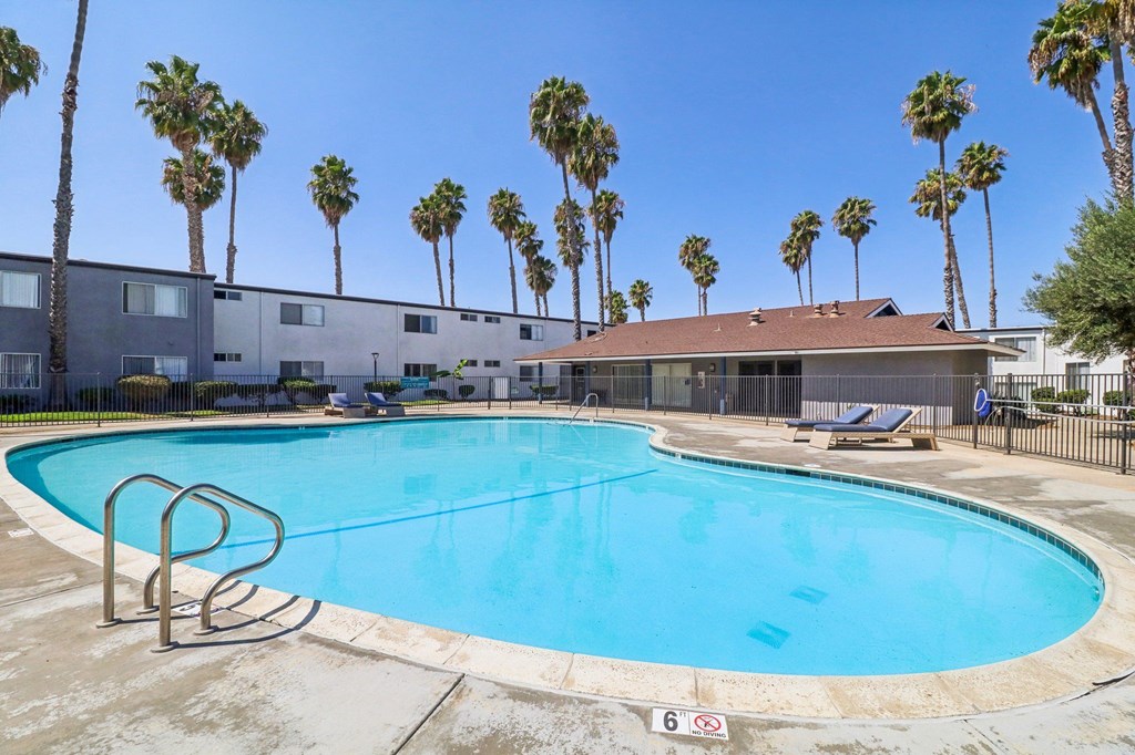 A swimming pool surrounded by palm trees and a building in the background.