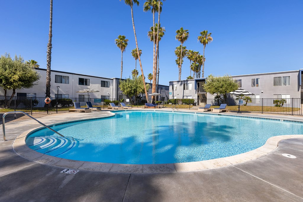 A swimming pool surrounded by palm trees and apartment buildings.