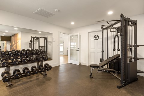 A spacious home gym with a variety of equipment including dumbbells, weight plates, and a squat rack.
