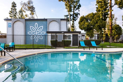 A pool with a blue flower design on the wall behind it.