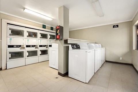 A row of white ovens and a white dishwasher are in a room.