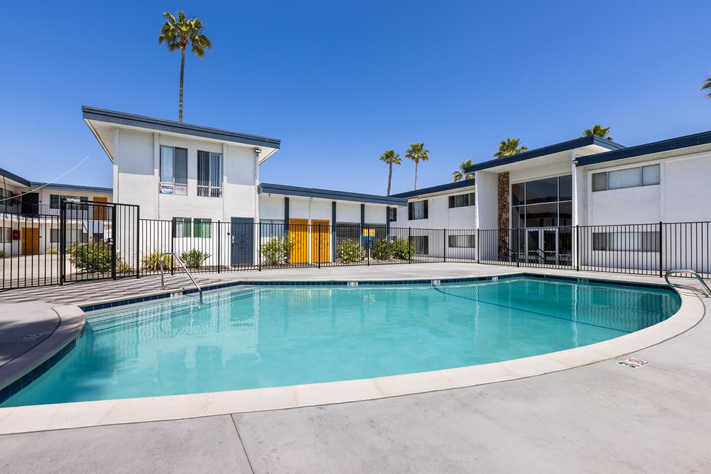 A swimming pool in front of a building with a palm tree.