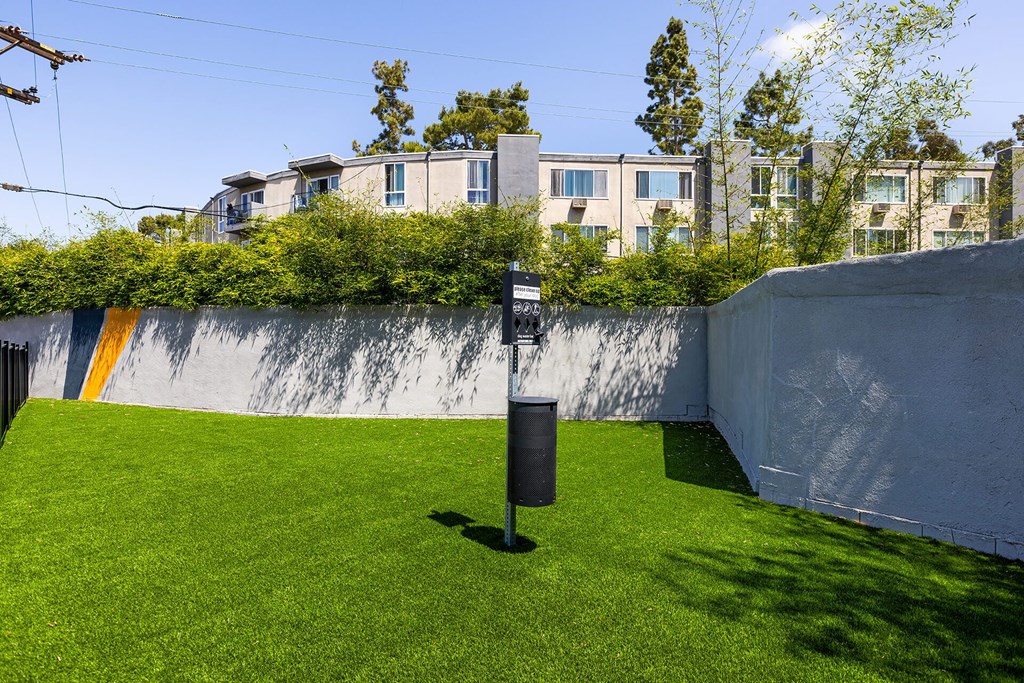 A small backyard with a green lawn and a wall with a yellow stripe.