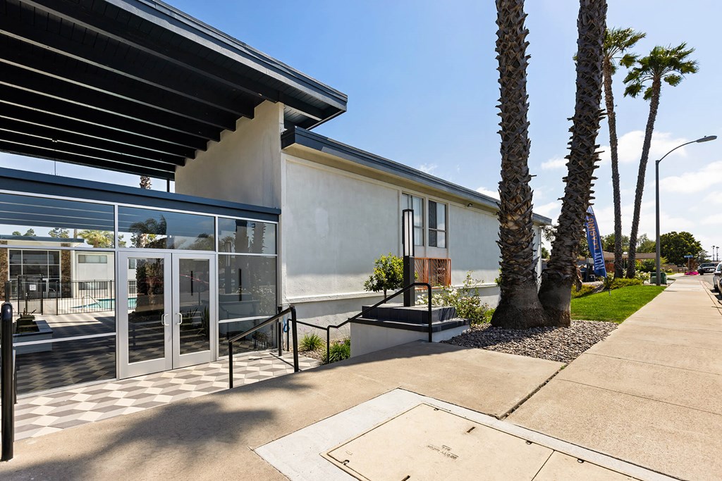 A modern building with a glass entrance and a palm tree in front.