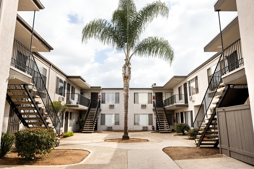 A palm tree stands in the center of a courtyard surrounded by apartment buildings.