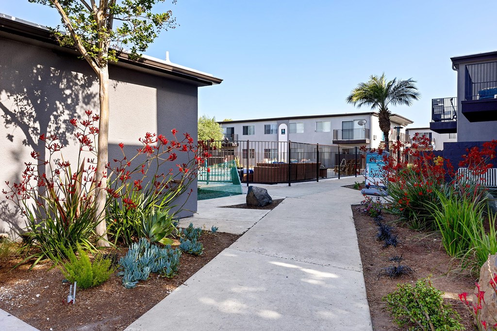 A concrete walkway leads through a garden with a variety of plants and shrubs.