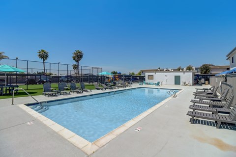 A large outdoor swimming pool surrounded by sun loungers and palm trees.