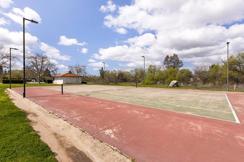 A tennis court with a red surface and white lines, surrounded by trees and a cloudy sky.