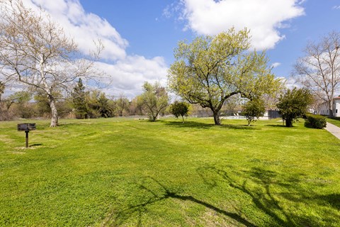 A green grassy field with trees and a sign in the distance.