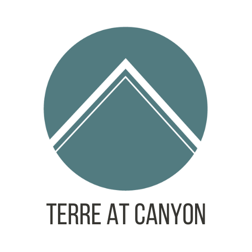 A logo with a mountain shape in the middle and the words "terre at canyon" below it.