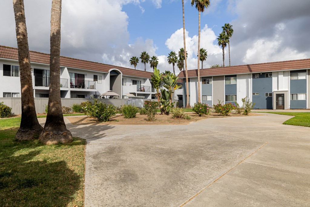 A concrete courtyard with a building in the background and palm trees in the foreground.