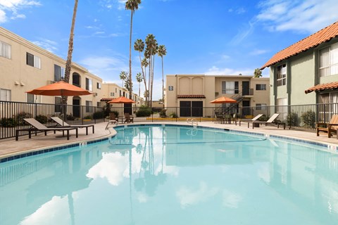 A swimming pool surrounded by palm trees and buildings.