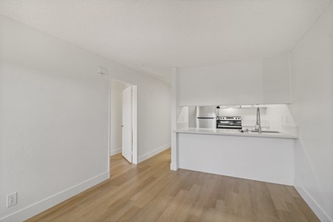 A kitchen area with a sink and a counter.
