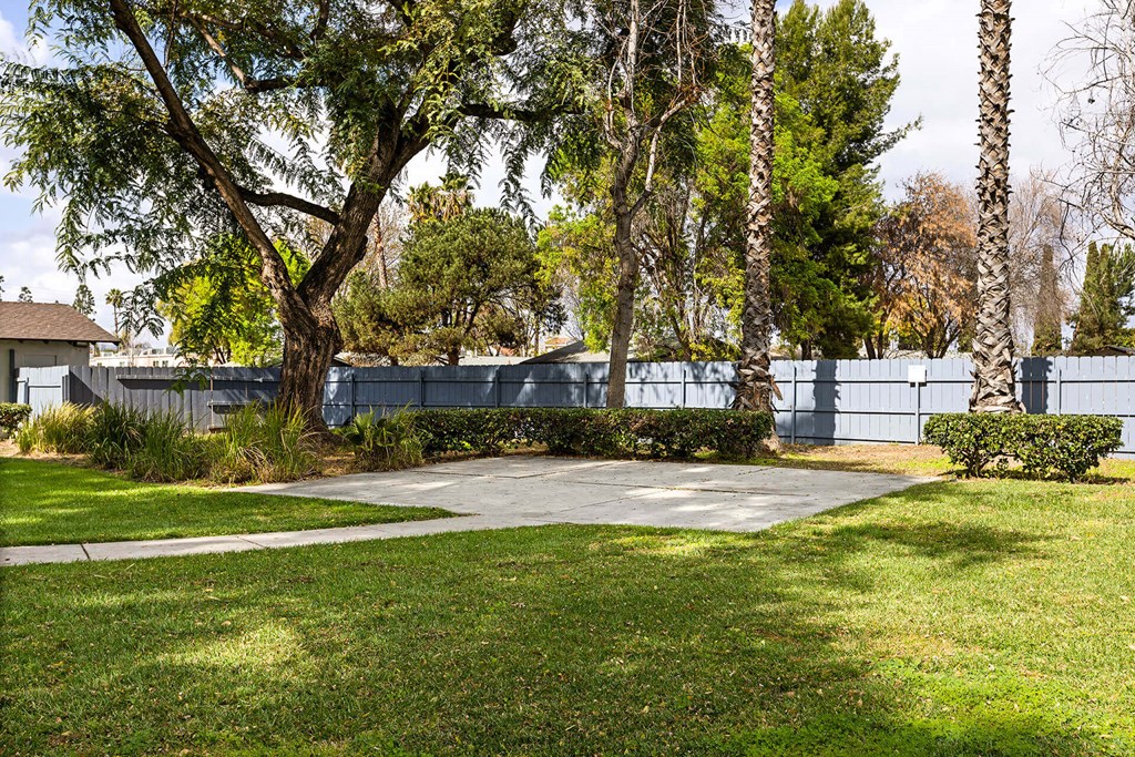 A tree in a yard with a fence in the background.