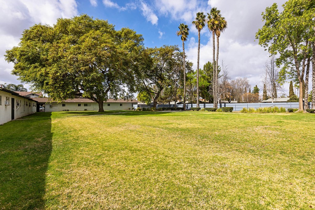 A large grassy field with trees and a building in the background.