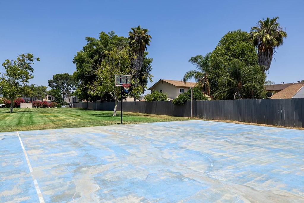 A basketball court with a hoop and a wall in the background.
