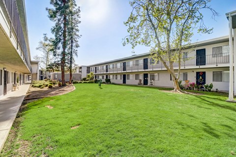 A sunny day at a grassy courtyard surrounded by apartment buildings.