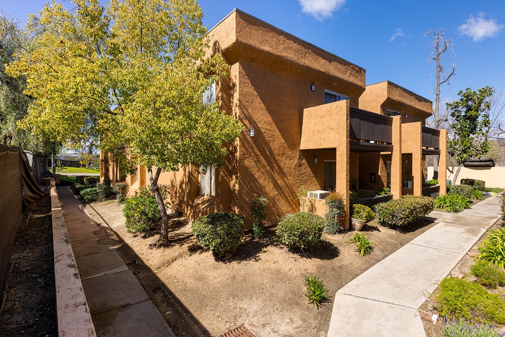 A modern house with a curved wall and a tree in front.