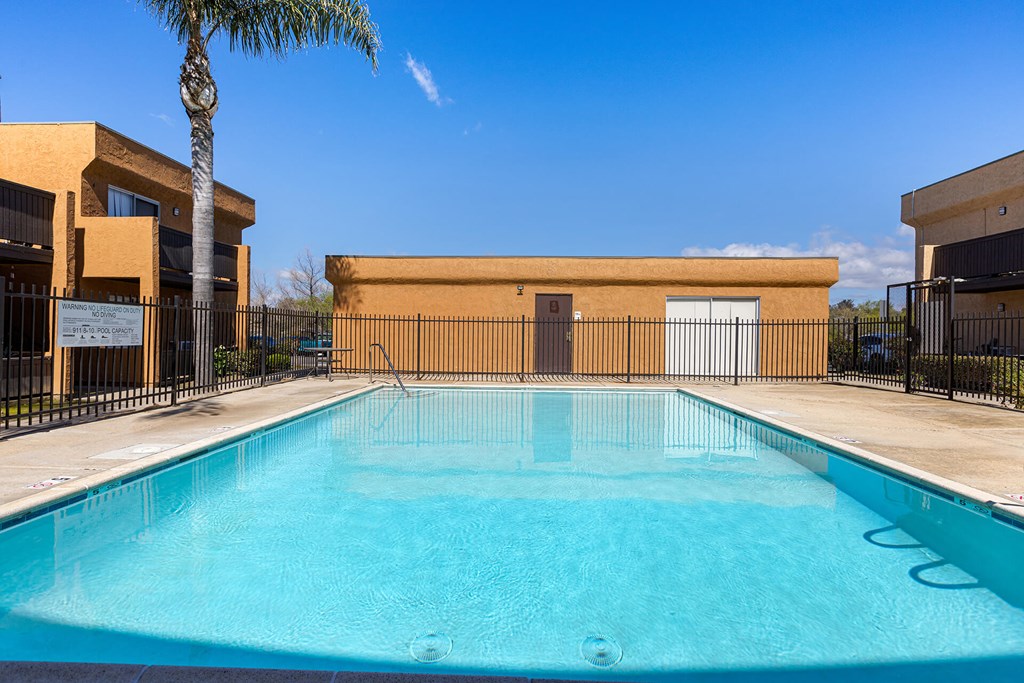 A swimming pool in front of a building with a palm tree.