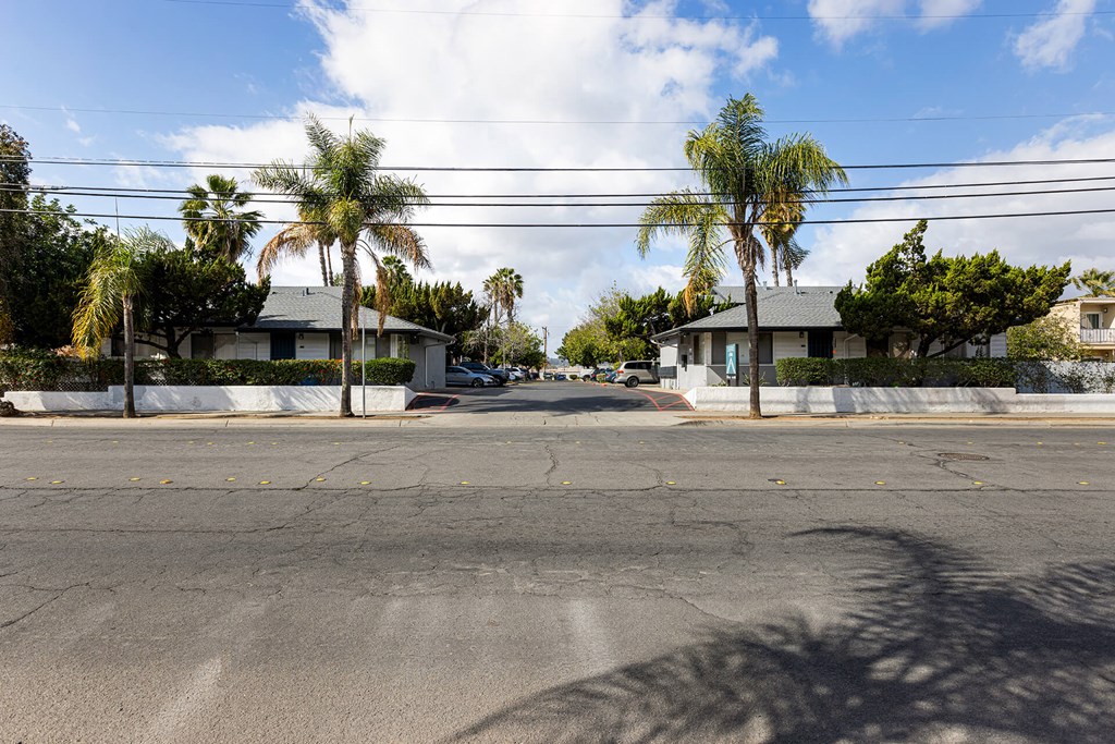 A street view with houses and palm trees.